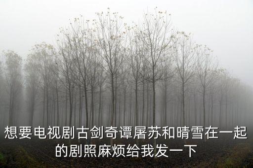 古劍奇譚劇照，想要電視劇古劍奇譚屠蘇和晴雪在一起的劇照麻煩給我發(fā)一下