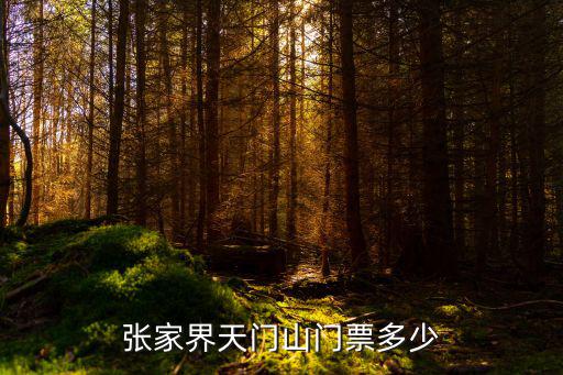 張家界天門山門票多少