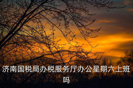 濟南稅務(wù)，濟南市天橋區(qū)的新注冊的小公司辦理稅務(wù)登記證要去哪里辦