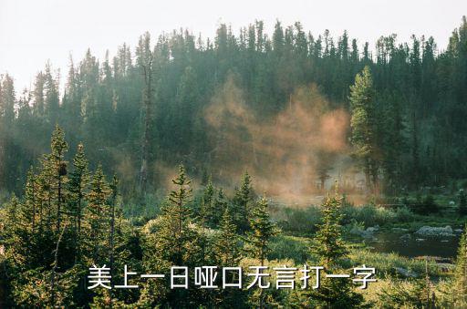 美上一日啞口無言打一字