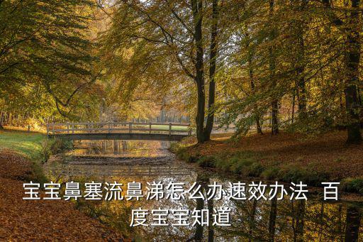 寶寶鼻塞流鼻涕怎么辦速效辦法  百度寶寶知道