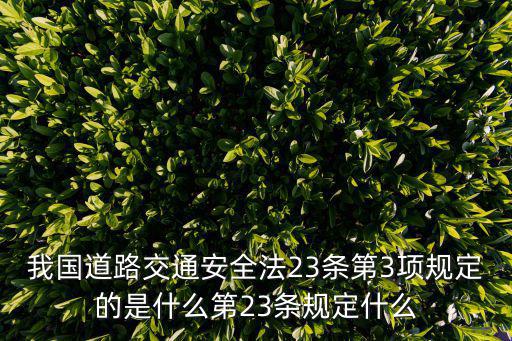 我國道路交通安全法23條第3項規定的是什么第23條規定什么