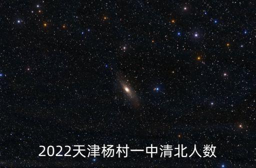 2022天津楊村一中清北人數
