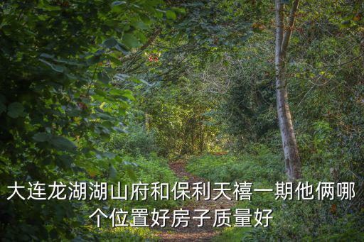 大連龍湖湖山府和保利天禧一期他倆哪個(gè)位置好房子質(zhì)量好
