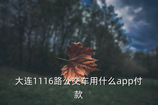 大連1116路公交車用什么app付款