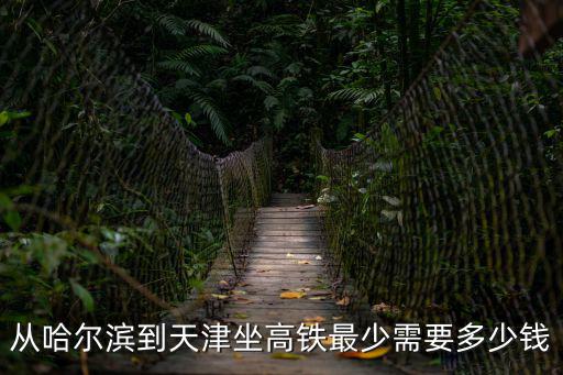 哈爾濱到天津高鐵，哈爾濱到天津市火車和高鐵現(xiàn)在通車了嗎