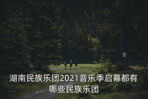 民族音樂會，我國民族樂團在金色大廳舉辦了幾次新年音樂會