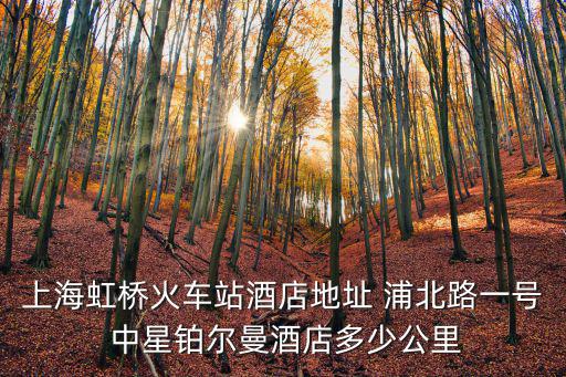上海虹橋火車站酒店地址 浦北路一號 中星鉑爾曼酒店多少公里