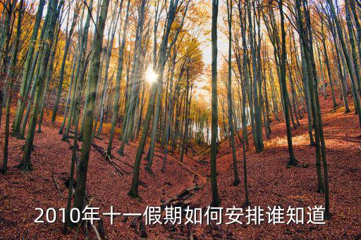 十一假期安排，2010年十一假期如何安排誰知道