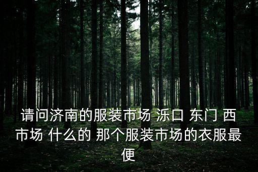 請問濟(jì)南的服裝市場 濼口 東門 西市場 什么的 那個(gè)服裝市場的衣服最便