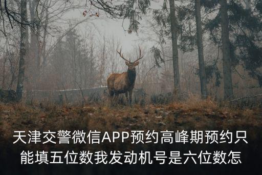 天津交警微信APP預約高峰期預約只能填五位數我發動機號是六位數怎
