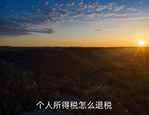 個(gè)人所得稅怎么退稅，個(gè)人所得稅怎么退