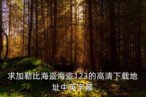 求加勒比海盜海盜123的高清下載地址中英字幕