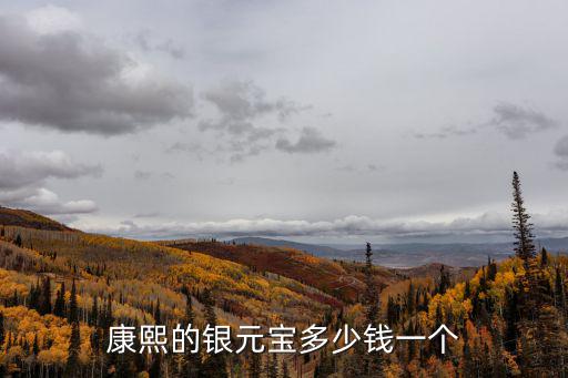 冰墩墩多少錢一個，雙頭龜多少錢一個