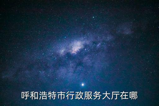呼和浩特市行政服務大廳在哪