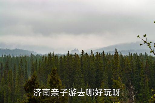 濟南親子游，十一去山東旅游在濟南去哪里好玩帶著孩子親子游
