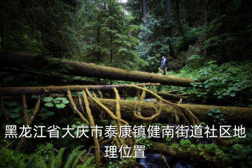 黑龍江省大慶市泰康鎮(zhèn)健南街道社區(qū)地理位置