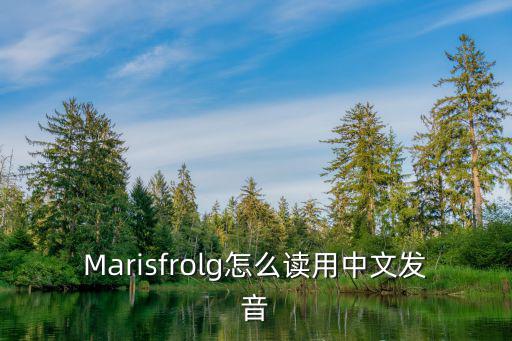 Marisfrolg怎么讀用中文發音