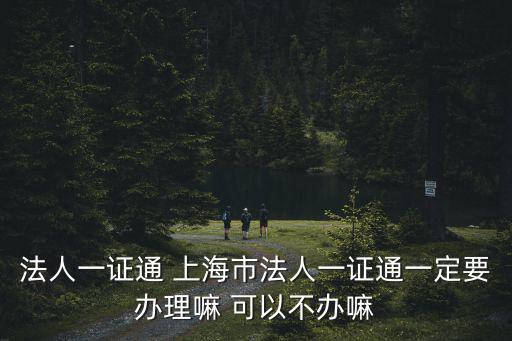法人一證通 上海市法人一證通一定要辦理嘛 可以不辦嘛