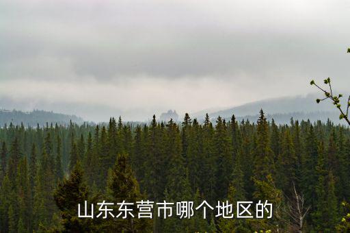 東營市東營區，東營市東營區西三路眾成時代中心301室 誰知道在哪啊