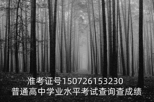 準(zhǔn)考證號(hào)150726153230 普通高中學(xué)業(yè)水平考試查詢查成績(jī)