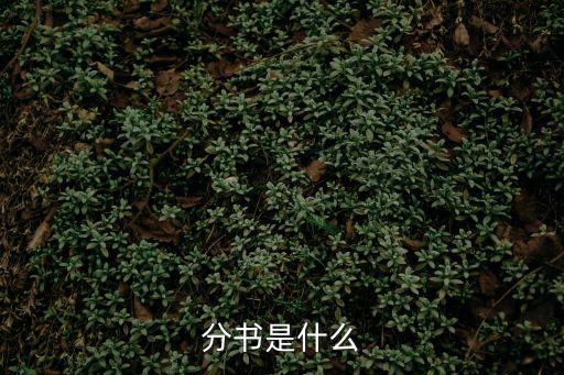 分書，六個學生分書肯定有一個學生至少分