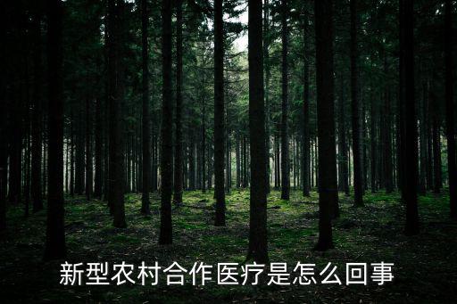 新型農村合作醫療是怎么回事
