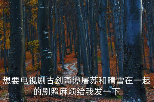 想要電視劇古劍奇譚屠蘇和晴雪在一起的劇照麻煩給我發一下