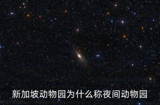 新加坡動物園為什么稱夜間動物園