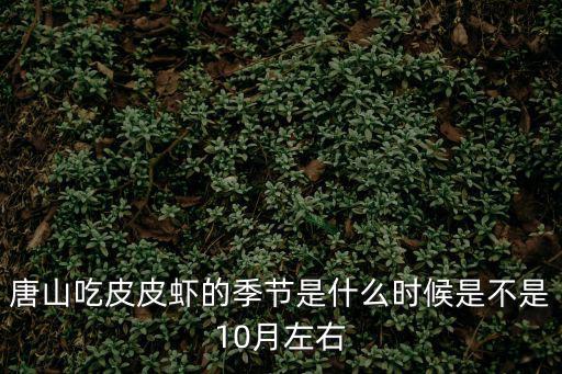吃皮皮蝦的季節，唐山吃皮皮蝦的季節是什么時候是不是10月左右