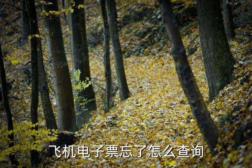 查詢電子客票，機(jī)票電子客票怎么查