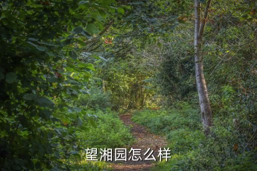 望湘園怎么樣