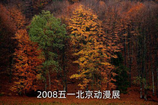 2008五一北京動漫展