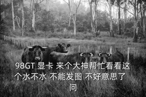 98GT 顯卡 來個大神幫忙看看這個水不水 不能發圖 不好意思了  問