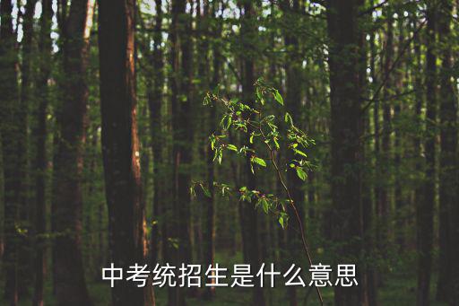 中考統招生是什么意思