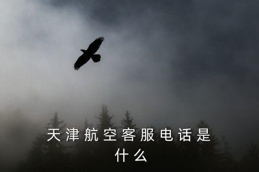 天 津 航 空 客 服 電 話 是 什 么