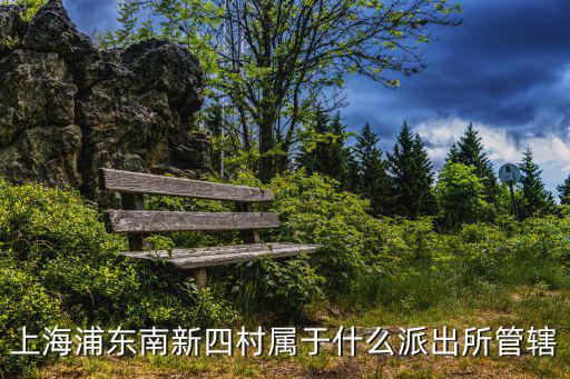 上海浦東南新四村屬于什么派出所管轄
