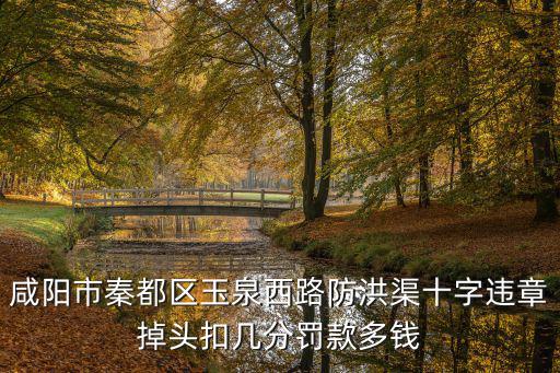 咸陽市秦都區玉泉西路防洪渠十字違章掉頭扣幾分罰款多錢