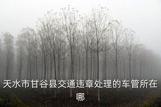 天水市公安局，杭州天水派出所的具體工作時(shí)間