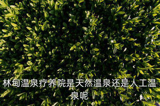 林甸溫泉療養院是天然溫泉還是人工溫泉呢