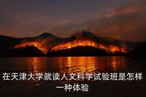 人文科學實驗班，東南大學 人文科學試驗班
