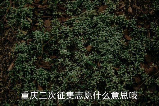 重慶二次征集志愿什么意思哦