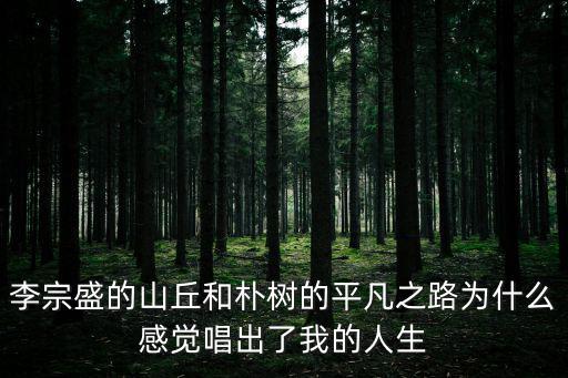 李宗盛的山丘和樸樹的平凡之路為什么感覺唱出了我的人生