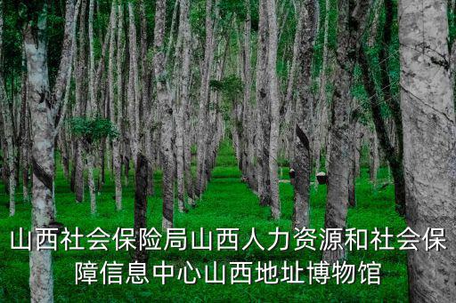 山西社會保險局山西人力資源和社會保障信息中心山西地址博物館