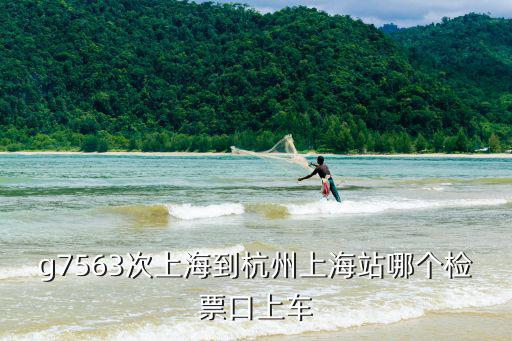 g7563次上海到杭州上海站哪個檢票口上車