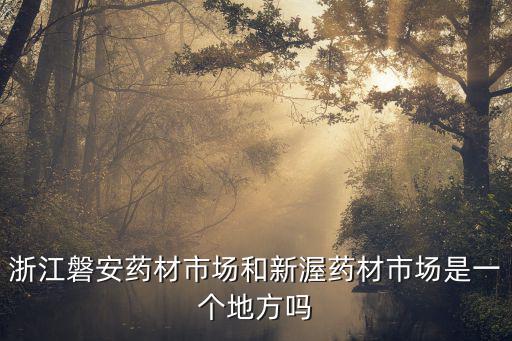 磐安在哪里，磐安縣位居哪個城市