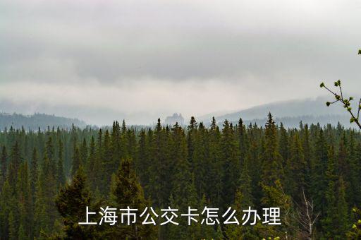 上海市公交卡怎么辦理