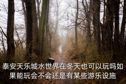 泰安天樂城水世界在冬天也可以玩嗎如果能玩會不會還是有某些游樂設施