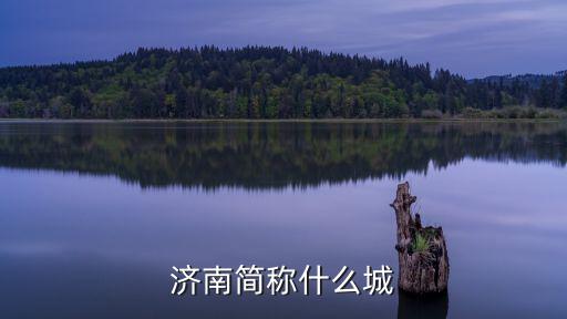濟(jì)南簡(jiǎn)稱(chēng)什么城