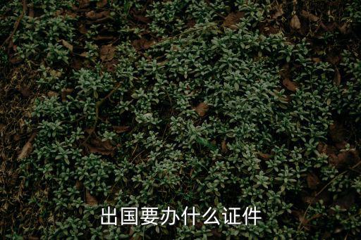 出境證件，出境旅游要帶什么證件